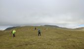 Trail Walking Lopra - Akraberg lighthouse - Photo 11