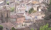 Tour Wandern La Garde-Freinet - les roches  blanches - Photo 10