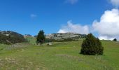 Trail Walking Châtillon-en-Diois - Tête Chevalière depuis Combeau - Photo 7