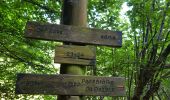 Tour Wandern Aulus-les-Bains - Cascade de Fouillet Ariége - Photo 14