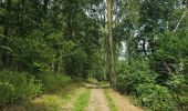 Tour Wandern Vuren - A la découverte de Fourons 🥾 - Photo 4