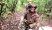 Trail Horseback riding Favières - Favieres mai 2024 yoigo kaline  - Photo 7
