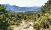 Trail Walking Mirabel-et-Blacons - Chapelle Saint-Christophe - Charsac - Photo 7