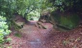 Trail Walking Maen-Roch - GR_37_AD_18_Maen-Roch_Chatellier_20210617 - Photo 3