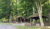 Tocht Te voet Hann. Münden - Rundwanderweg Scheden 1 - Photo 3