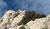 Trail Walking Marseille - Les calanques  - Photo 8