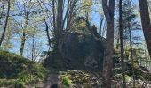 Percorso  Oberhaslach - Camping de luttenbach châteaux  - Photo 2