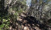 Trail Walking Camps-la-Source - St Quinis-Camps-la-source-10-02-21 - Photo 9
