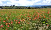 Trail Walking Havelange - Méan-Maffe - Photo 6