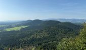 Tour Wandern Orcines - Puy - Photo 1