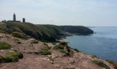 Excursión Senderismo Plévenon - Cap Fréhel - 2017 06 22 - Photo 11