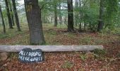 Trail On foot Gladenbach - Extratour Gladenbacher Berglandring - Photo 10