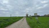Trail Walking Brunehaut - Hollain 16,2 km - Photo 11