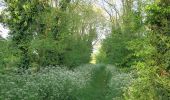 Tour Zu Fuß South Cambridgeshire - Wimpole Way - Photo 4