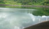 Trail Trail Capesterre-Belle-Eau - Barrage  - Photo 4