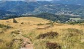 Tocht Stappen Metzeral - Petit-Ballon via Col du Hilsenfirst - Photo 11