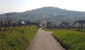 Randonnée Marche Dahlenheim - Circuit du Rutscherle variante - Photo 13