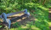 Trail Walking Ciney - Conjoux 300724 - Photo 20