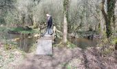Trail Walking Nostang - PR_56_Nostang_BA_02_Le-Long-Du-Roch_Circuit1b_20230327 - Photo 2