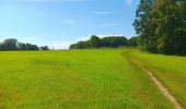 Tour Wandern Riemst - kanne . carrière . château fort st pierre . château neerkanne - Photo 16