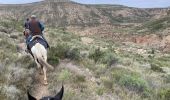 Trail Horseback riding Bardenas Reales de Navarra - Bardenas jour 6 - Photo 19