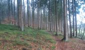 Trail Walking Ferrières - dans les pas de Saint Roch - Ferriere - Photo 8