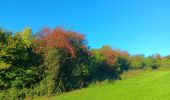 Tour Wandern Comblain-au-Pont - Comblain-au-Pont d´une rive à l´autre - Photo 6