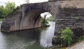 Trail Walking Pont-sur-Yonne - 210516 Pont sur Yonne - Photo 1
