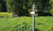 Tocht Stappen Fillière - ronceveau au col du freu 24 juin 19 - Photo 13