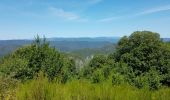 Excursión Senderismo Les Plantiers - coeur des cevennes - Photo 8