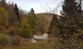 Tour Wandern Lepuix - Ballon d'Alsace - cascade et lac d'Alfeld - Photo 19