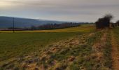Trail Walking Durbuy - trek GR57 étape 5 : Bomal-sur-Ourthe - Weris - Photo 20