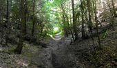 Trail Nordic walking Volvic - tour du Puy Chopine (variante)  - Photo 1