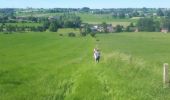 Trail Nordic walking Herve - Battice_Fort - Photo 5