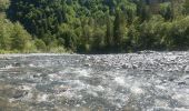 Tour Wandern Samoëns - Samoens . gorges des tines - retour  - Photo 5