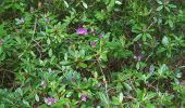 Trail Walking Nerville-la-Forêt - Rhododendron - Photo 4