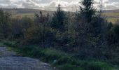 Randonnée Marche Houffalize - Engreux 021122 - Photo 18