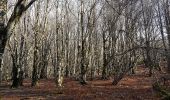 Tour Wandern Rosis - Douch Mont Caroux - Photo 7