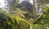 Percorso  Ribeauvillé - Grande verrerie - Rocher des Géants  - Photo 11