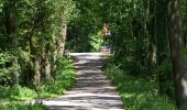 Percorso A piedi Losser - Wandelnetwerk Twente - groene route - Photo 1