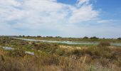 Tour Radtourismus  Arles - Arles  -  Stes-Maries-de-la-Mer - Photo 18