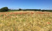 Randonnée Marche Durbuy - Entre Condroz et Ardennes (Durbuy) - Photo 1