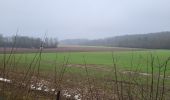 Tour Wandern Gerpinnes - Fromiee 110225 - Photo 3