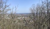 Tour Wandern Herstal - randonnée terril Liège  - Photo 3