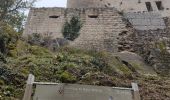 Excursión Senderismo Mittelbergheim - Boucle des châteaux d'Andlau et du Sepsbourg - Photo 19