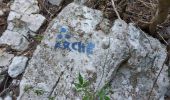 Trail Walking Ollioules - grotte théâtre  - Photo 1