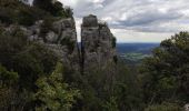 Trail Walking Rouet - les falaises de l'hortus - Photo 6