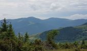 Tour Wandern Linthal - Linthal - Petit Ballon - Klintzkopf - Photo 11