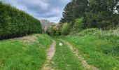 Trail Walking Ciney - Chapois 150425 - Photo 4