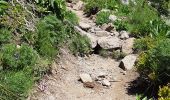 Trail Walking Thiézac - 2020-05-27 19:09:44 - Photo 12